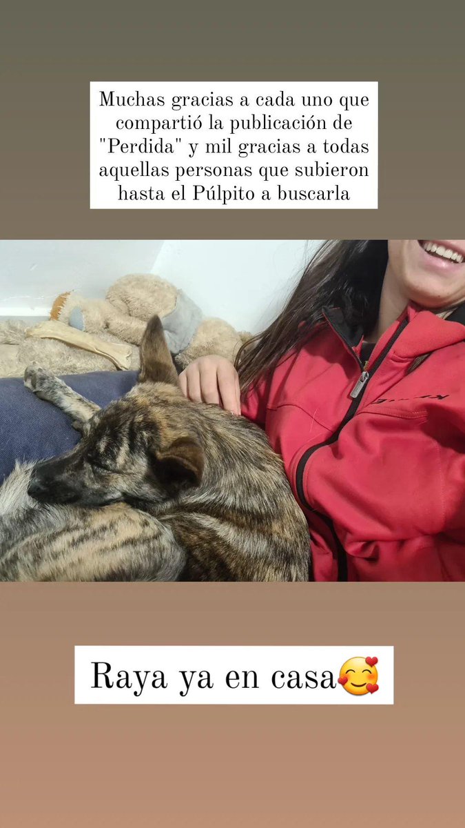 kafonsog's tweet photo. No puedo ser más feliz ahora mismo😍
Raya apareció por San Benito sobre las 5 de la mañana cuando me llamaron que la habían visto.
Fue ella quien al llamarla vino corriendo hacia mi.
Se encuentra en perfecto estado, en unas horas la llevo al veterinario.
¡Muchas gracias a todxs! https://t.co/LZAX4Aii0L
