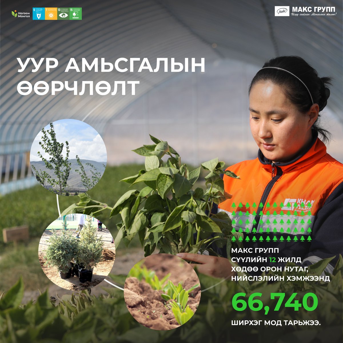 maxgroup_mgl's tweet photo. Бид нийт хамт олноороо уур амьсгалын өөрчлөлтийг бууруулж, агаарын бохирдол, хүлэмжийн хийн ялгарлын эсрэг бодит хувь нэмрээ оруулах үүднээс өнгөрсөн 12 жилийн хугацаанд 66,740 ширхэг модыг үе шаттайгаар тарьж, амжилттай ургууллаа. https://t.co/VLRK0xWUUa