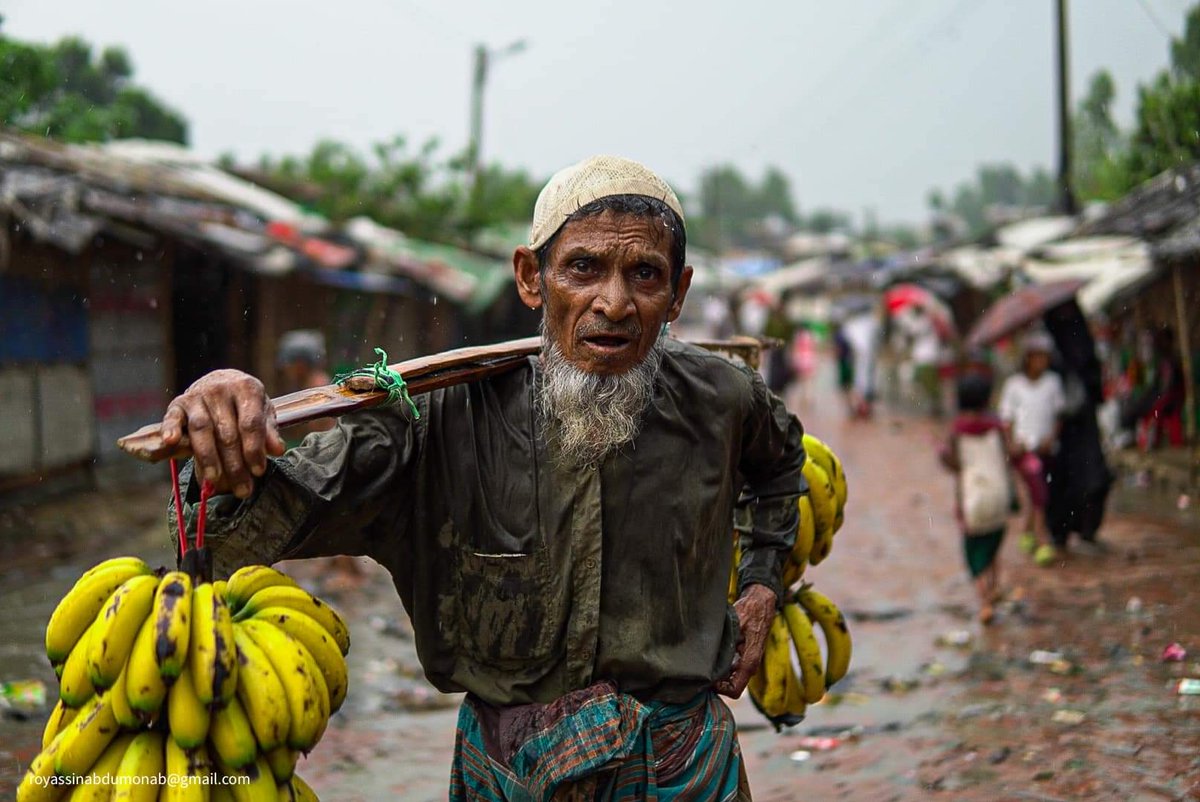 RohingyaMakzin's tweet photo. Roshid Ahmed, an elderly #Rohingya man, sells bananas door-to-door to support his family. He buys from the local market and earns 150 Tk profit from selling two bunches.

#streetphotography #rohingya #refugees #income #photojournalism #refugeestories

📸 @md_yasiein https://t.co/W0gQO3BIi7