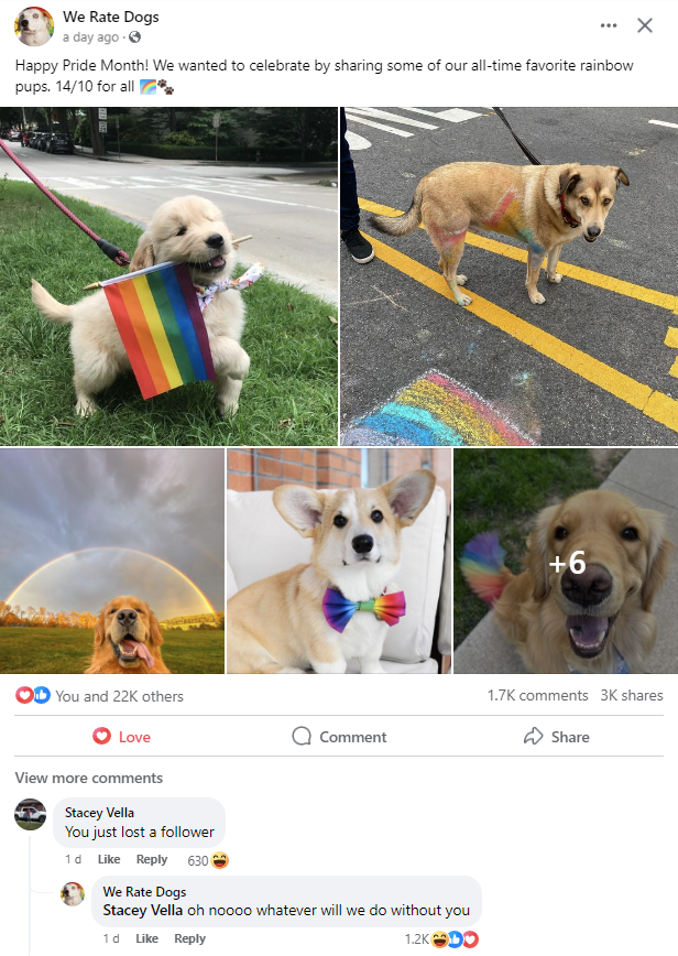 BrittA2211's tweet photo. God I love @dog_rates https://t.co/3414svBZ9T