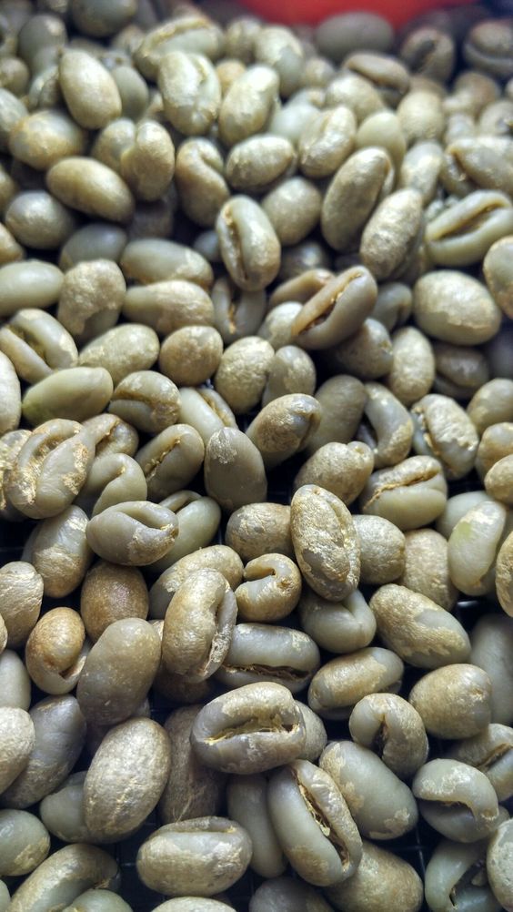 hansoncoffees's tweet photo. Yirgacheffe coffee is from southern Ethiopia and is one of the best coffees in the world.
.
.
.
.
#coffee #specialtycoffee #ethiopiancoffee #coffeetime #coffeelover #coffeeproducer #coffeeexporter #coffeeproduction
#coffeebreak #coffeebean #hansoncoffees https://t.co/hdLNhFhGkX
