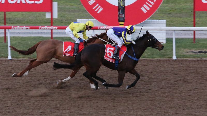 A dominant day for Latrobe based trainer Adam Trinder winning four of the eight races at Devonport on Sunday.

Read more 👉 - buff.ly/3x8jAnd
