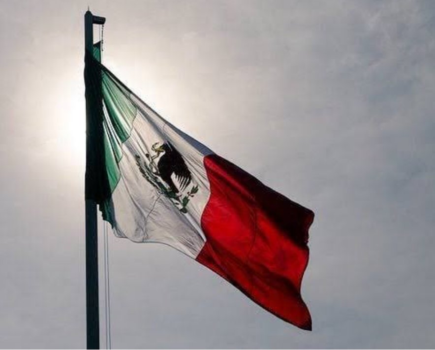 azermedothreco1's tweet photo. Ganaron la estupidez, el fanatismo, la intolerancia y la mediocridad.

Nos esperan seis años más de improvisaciones, corrupción, saqueo masivo, miles de muertos, violencia y criminalidad descontroladas.

Pobre México. 

Cuánto me dueles!
Pueblo estúpido, tendrá lo que se merece. https://t.co/LNMn2SPmdV