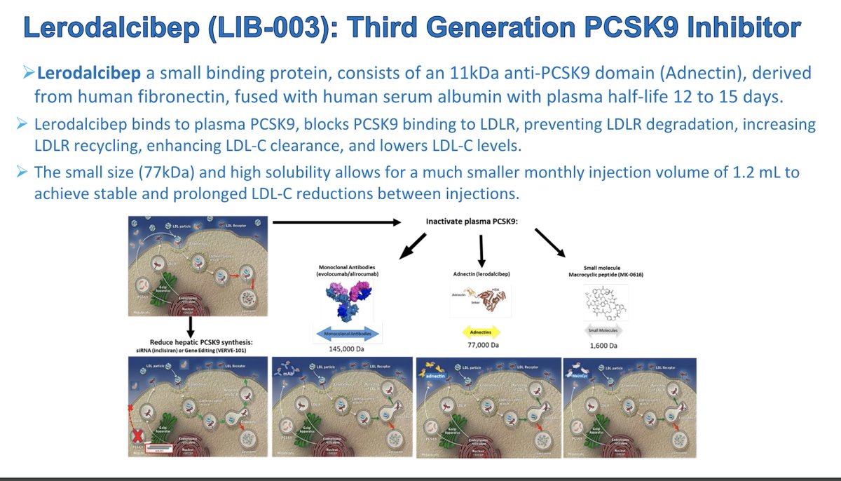 MeralKayikcoglu's tweet photo. Dr. Evan Stein presented our latest study on #Lerodalcibep, a next-generation #PCSK9inh, at the #EAScongress2024! #LIBerateCVD
Stay tuned for groundbreaking insights and innovations in cholesterol management. 
#MedicalResearch #Cardiology #EAS2024 🌟🩺

#CongressHighlights #Teamwork
#EAS2024 #MyEAS2024 #SoMeEAS #EASSoMe
@EASCongress @society_eas
#EASYoungFellows
#CardioTwitter #cardioX
@LaleTokgozoglu
@TKDResmi
@fhpatienteurope
@fhscglobal @FedericaFogacci @drpablocorral @pabeda1 @MGeanta @javierrcarrio @j_rvl @SABOURETCardio  @JamalRanaMD @ErinMichos @CBallantyneMD  @PamTaubMD