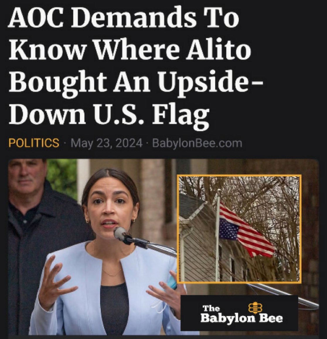 Myrna 𝕏 tweet media