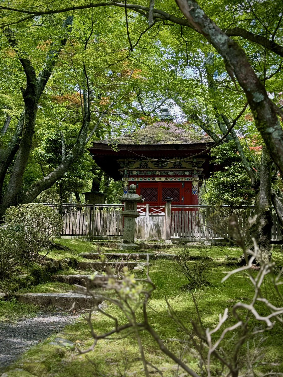 Miidera_temple's tweet photo. ６月に入りましたね。
三井寺境内は、ますます緑が美しい季節になってきました。

#三井寺 #miidera #미이데라
#滋賀県 #観光 #japan #sightseeing https://t.co/CsUmpSCdwl