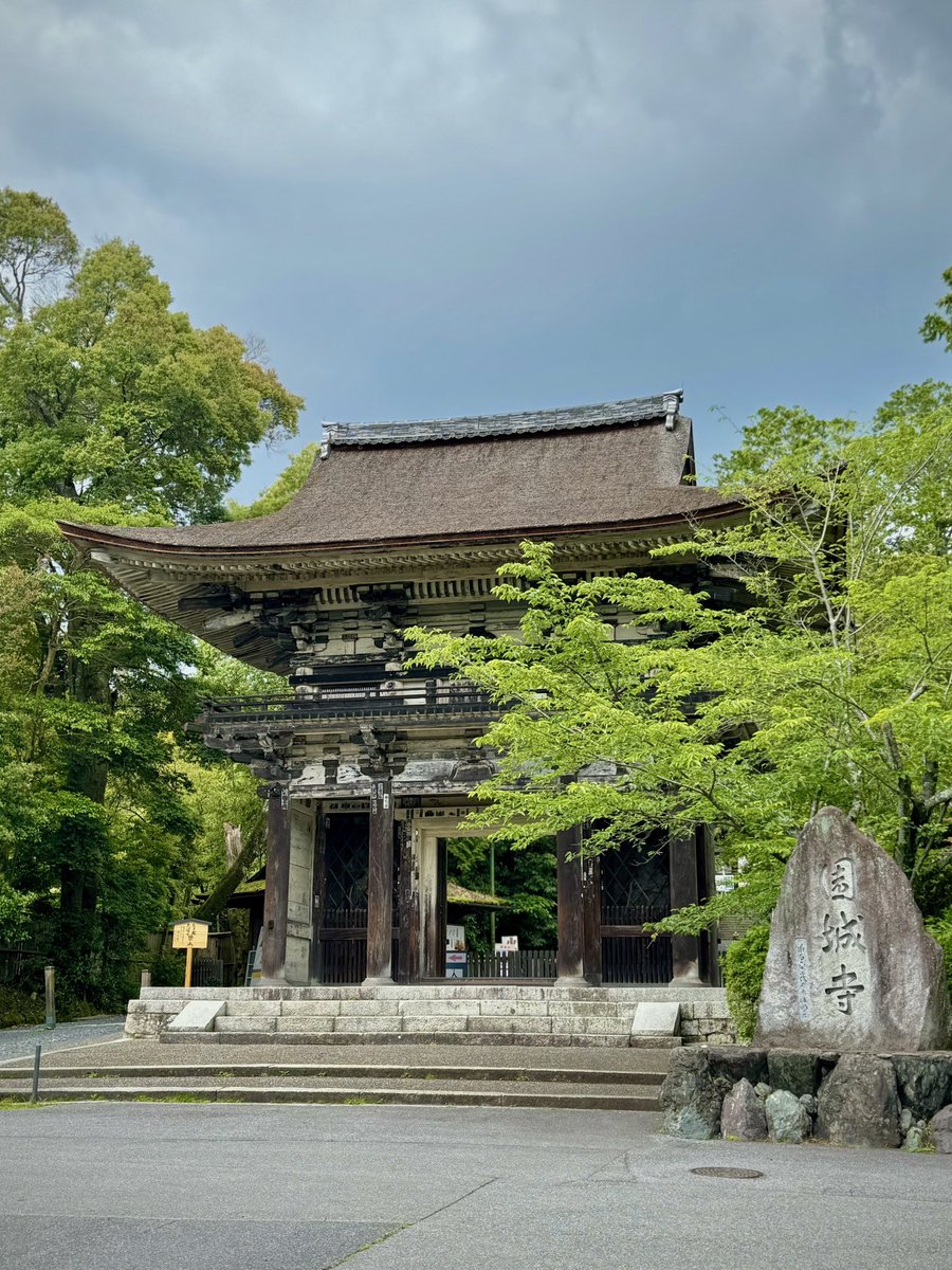 Miidera_temple's tweet photo. ６月に入りましたね。
三井寺境内は、ますます緑が美しい季節になってきました。

#三井寺 #miidera #미이데라
#滋賀県 #観光 #japan #sightseeing https://t.co/CsUmpSCdwl
