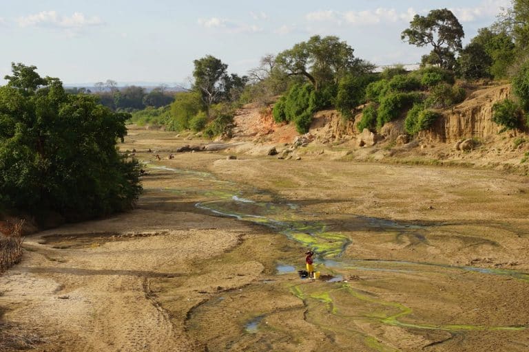 JohnChipangojnr's tweet photo. 🌱 Let's join hands this Environment Day and beyond to accelerate land restoration in Zambia for drought resilience! Clean water and proper sanitation are essential for healthy ecosystems.#WASHLandRestoration #EnvironmentDay #InvestInWASH https://t.co/xfxArTmzEP