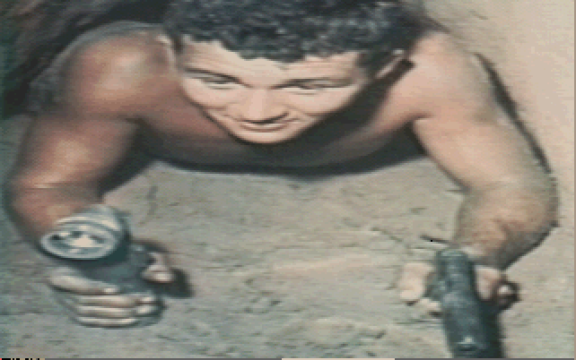 GIFS GALORE tweet media