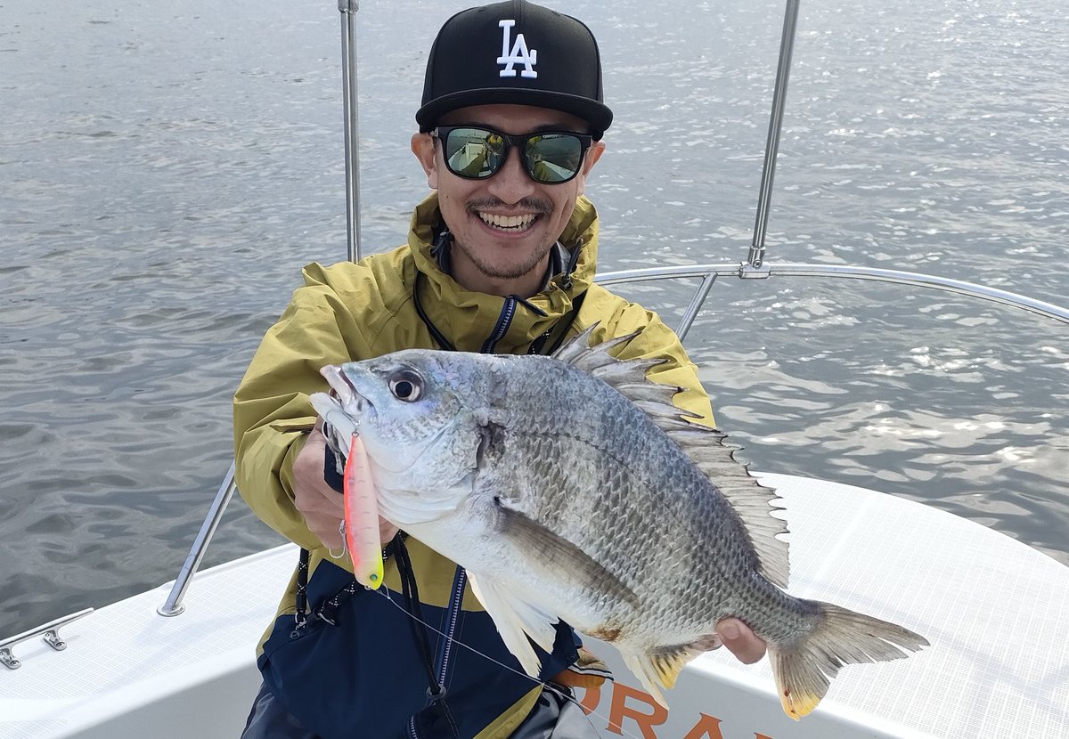 Taka_icfc's tweet photo. 6/2午前チャーター便
トップのリクエストでスタートしてすぐにキャッチ🐟
反応よくその後も水面ボコボコ🎣
最後チニングもちょっとやってボトムでもしっかりキャッチ🐟
クイックウォーカー釣れてます！
トップは今がハイシーズン！釣りたい方はご予約お早めに！
 #Megabass  #DogxQuickWalkerSW @PR https://t.co/3gILz1iwUr
