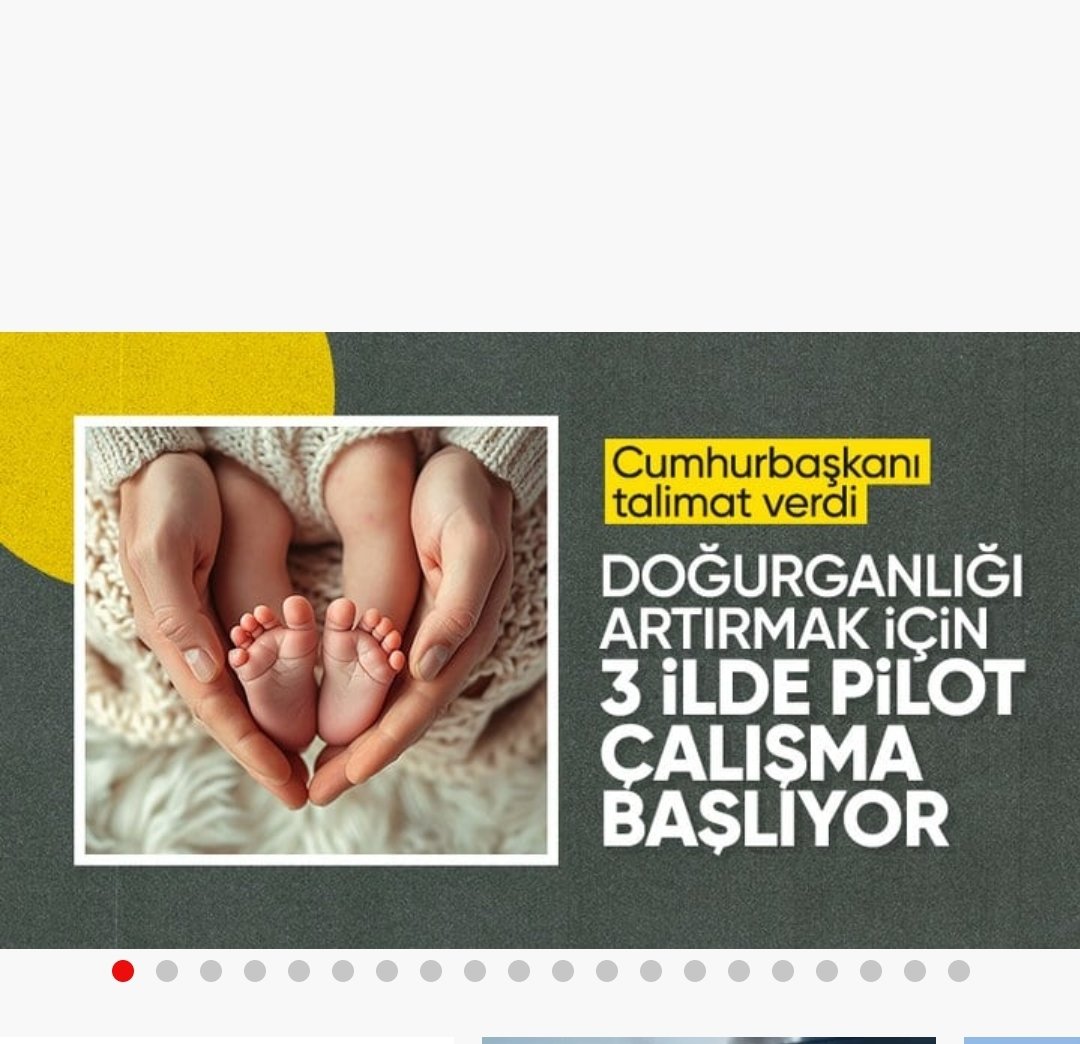 Doğurganlı arttırmak için size bir öneride bulunayım mı insanların gelecek kaygısını yok ederseniz insanlar hem sevişir hem de çocuk yapar. 
Gençlerin umutlarına geleceğini Çaldınız Hakkımı helal etmiyorum toplumun ahlak kültür ayarları ile oynadınız dinsizlik aldı başını yürüdü