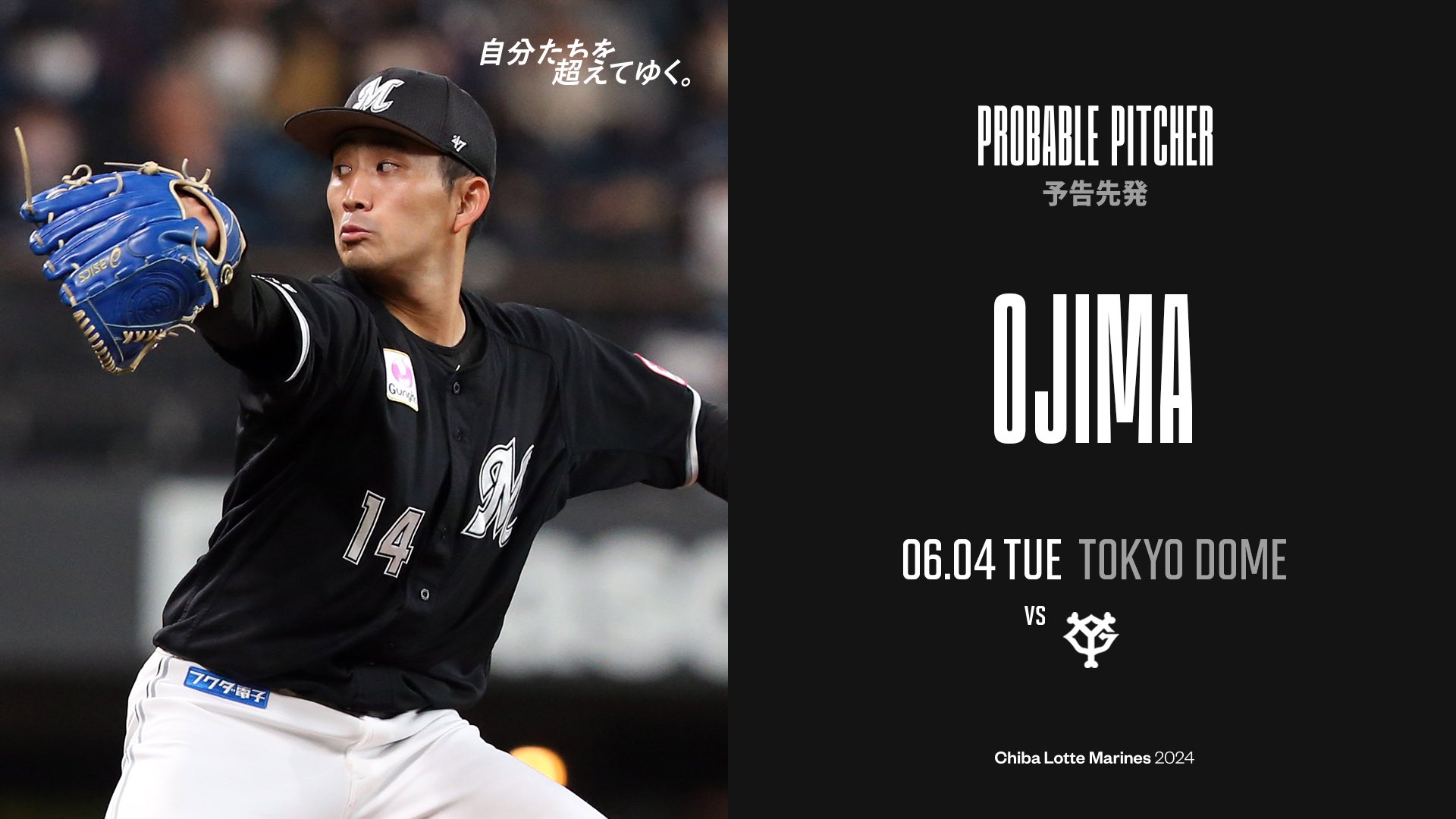 日本生命セ・パ交流戦6月9日広島カープVS千葉ロッテマリーンズ 日本生命セ・パ交流戦6月9日広島カープVS千葉ロッテマリーンズ