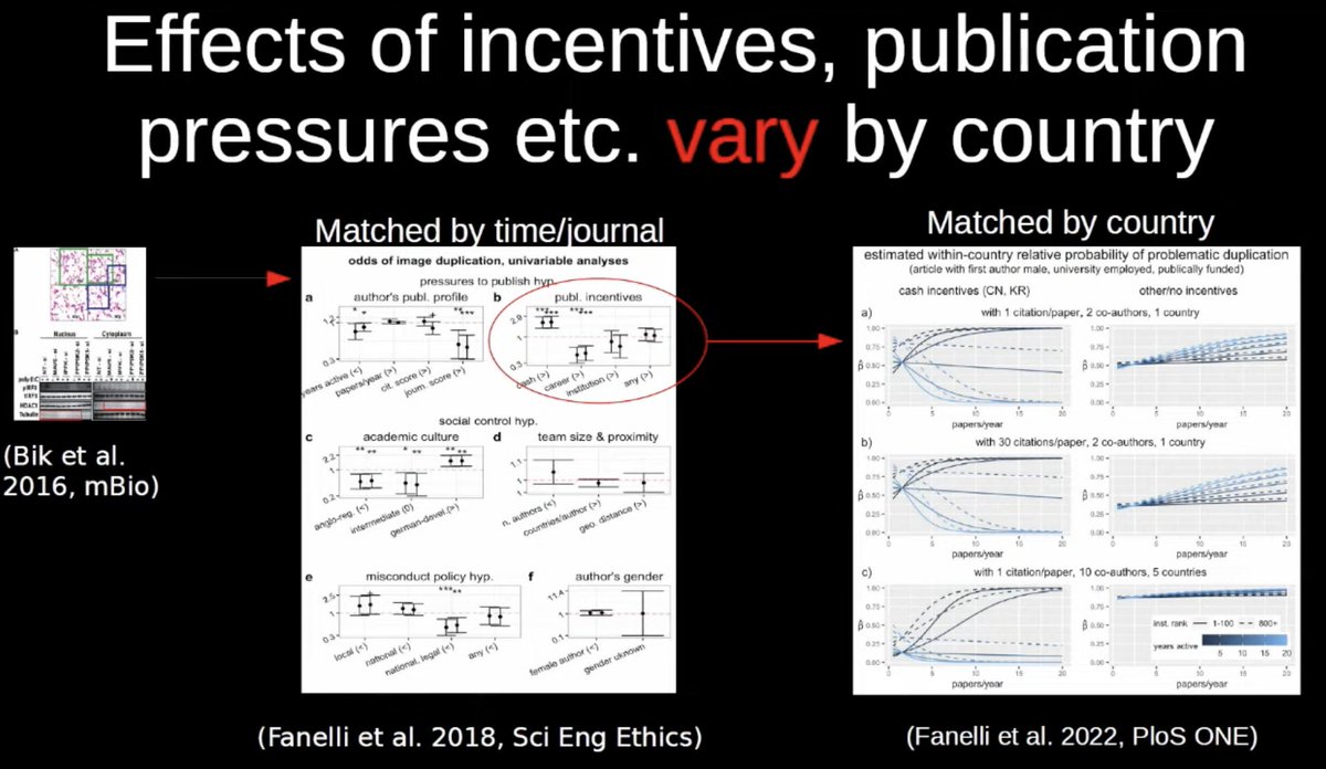 Kaveh Bazargan (@kaveh1000) on Twitter photo <a href="/DFanDaBiasedMan/">Daniele Fanelli</a> reports that countries where there is a high cash incentive (e.g. China, South Korea) have a much higher percentage of image misconduct. Reported in Plos One:
journals.plos.org/plosone/articl…
#WCRI2024 <a href="/DFanDaBiasedMan/">Daniele Fanelli</a> reports that countries where there is a high cash incentive (e.g. China, South Korea) have a much higher percentage of image misconduct. Reported in Plos One:
journals.plos.org/plosone/articl…
#WCRI2024