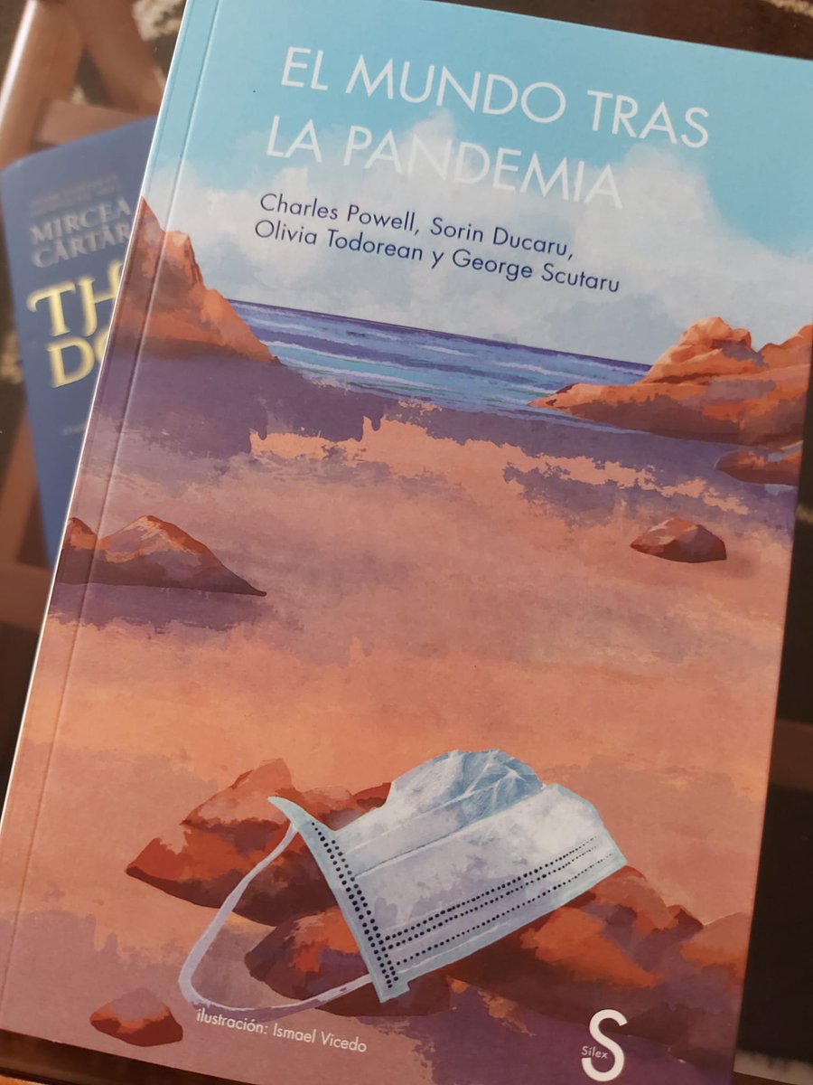 Sorin Ducaru tweet media