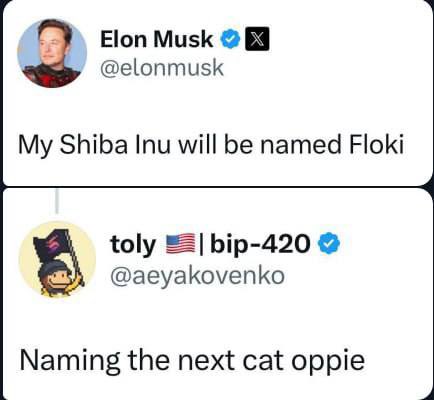 Felixaa08's tweet photo. @alexey_serbin @blknoiz06 $oppie for the win https://t.co/WFQNpGnBsv