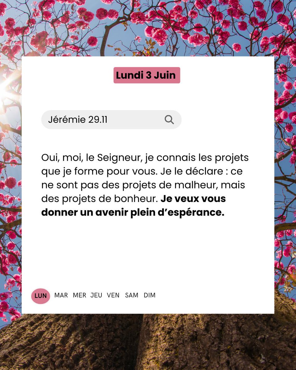EPUdF's tweet photo. Cette semaine, plongeons-nous dans les versets qui explorent le thème de la vocation.
Trouvez inspiration et encouragement dans ces paroles sacrées alors que nous explorons le sens de notre vocation et comment vivre pleinement selon celle-ci. 📖✨
#versets #Vocation #Bible https://t.co/v7ql6WkJD1