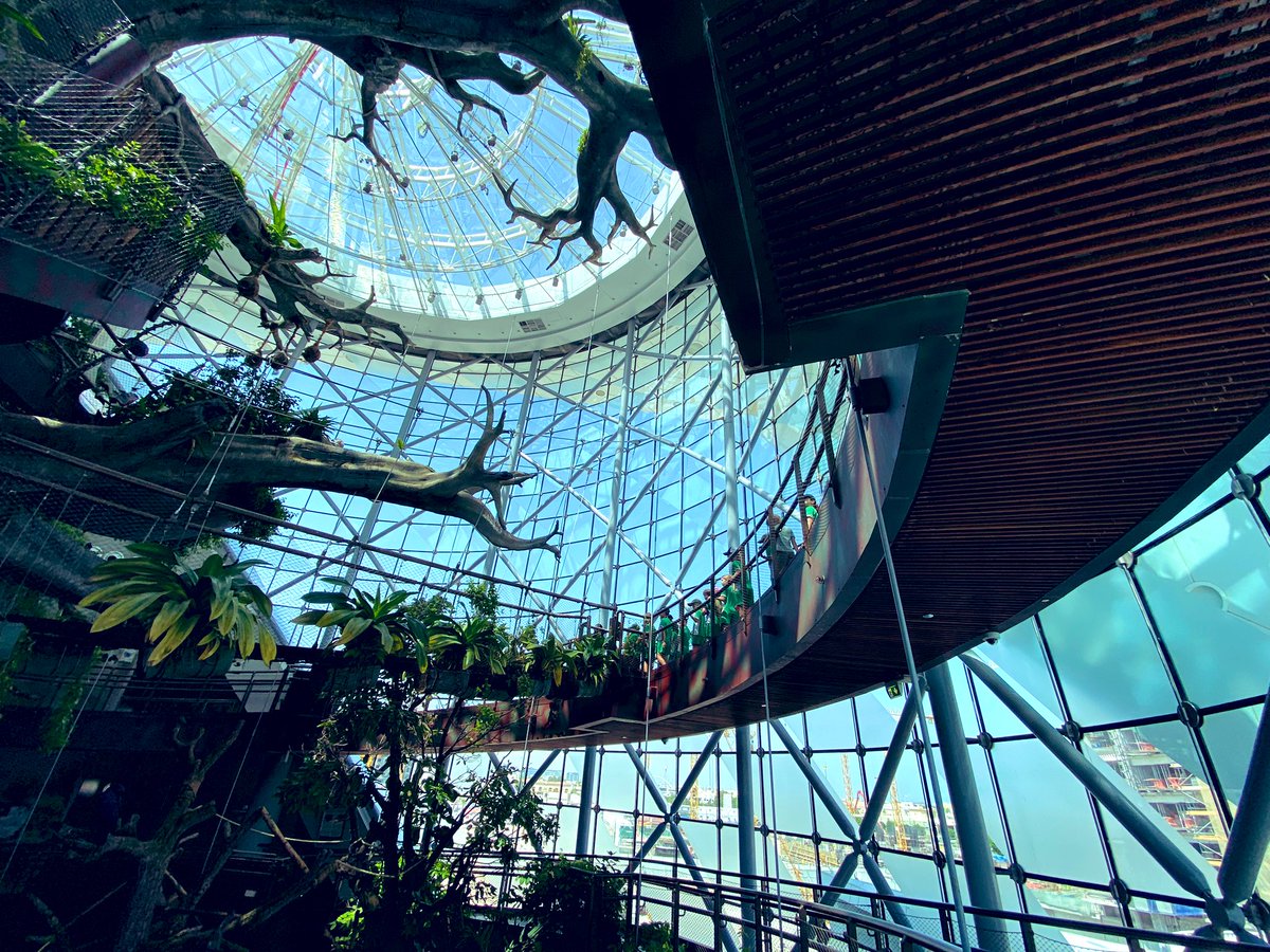 Head of Primary | The Arbor School - Daniel Nichol tweet media