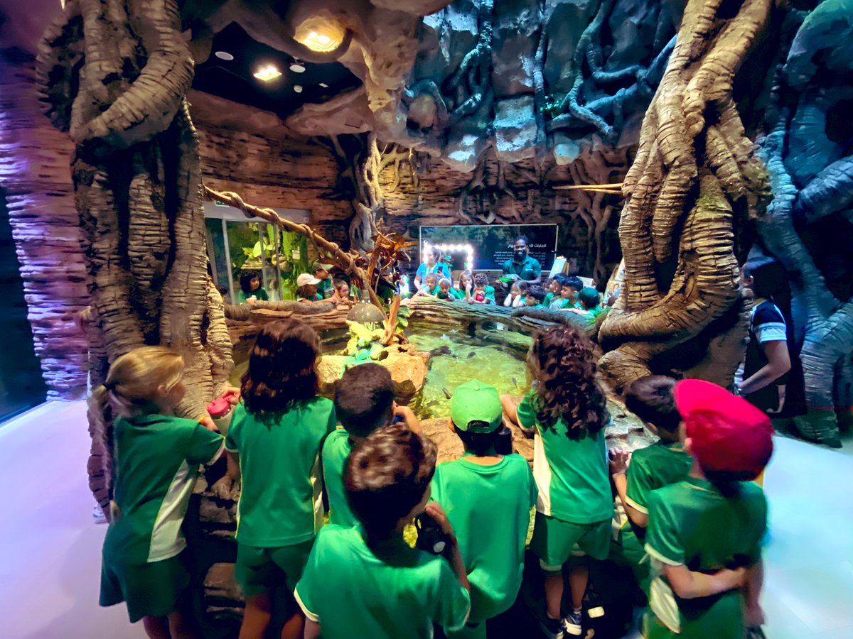 Head of Primary | The Arbor School - Daniel Nichol tweet media