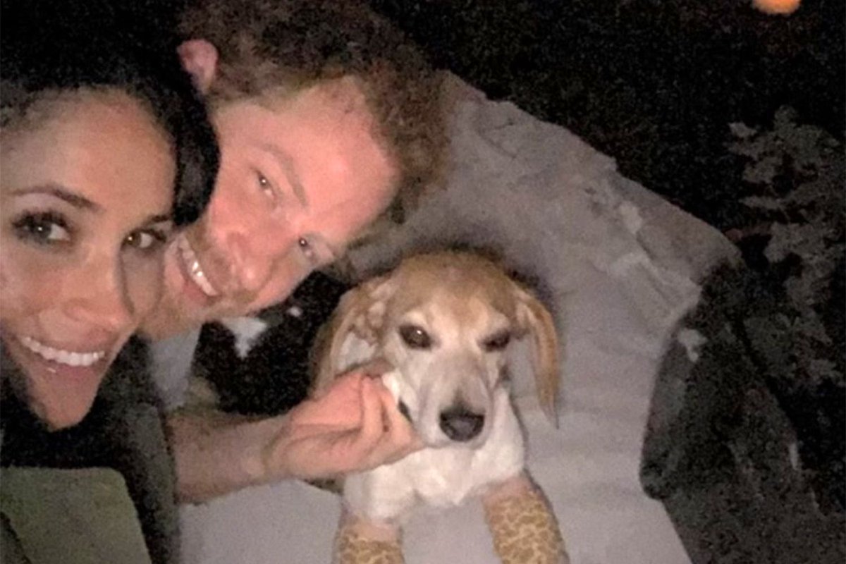 SuburbanDuchess's tweet photo. Prince Harry asked Meghan Markle to marry him on different dates according to whom is answering that question. There is one of Meghan being on the phone in her documentary where she whispers that it's happening, and Harry has a picnic blanket on the grass outside with her dog having two broken front legs. 
Honestly, in that version I was much more concerned for her dog than any proposals of marriage. 
So I'll go with the first version, since that's the one with which we are most familiar. One November evening when Harry and Meghan were in their cottage at Kensington Palace cooking roast chicken, or trying to they said, Harry got down on one knee and started to ask Meghan if she would marry him. 
But she cut him off before he could utter those few words and said, "Yes! Can I say yes now? Yes! Yes! Yes!"
Behind the scenes Queen Elizabeth II wasn't keen on Harry's choice of a bride, since the Palace had done sufficient background checks on Meg, but Harry assured the monarch he would have his way or tell the world the monarchy was r@cist. 
Queen Elizabeth acquiesced, thinking Harry was too far down the line of succession for his choice of a wife to matter overly much. Thus their engagement was announced on November 27, 2017. 
Harry had explained to Meghan she would have to accept her new royal restrictions and would have guidance ahead of their wedding. Harry claimed he told Meghan, "You know what you're letting yourself in for. It's a big deal and it's not easy for anybody." -Revenge
Meghan and Harry walked out into the Sunken Gardens at Kensington Palace at 10:00 in the morning to meet the photographers. Meghan wore a white coat and oversized heels as she leaned into Prince Harry and they smiled for the cameras. 
For the rest of the engagement photo shoot Meghan donned a $75,000 Ralph & Russo dress that was sheer. Fashionistas went wild for the glamorous fiancé, and the photographers noticed how tactile the couple was. Meghan rubbed Harry's back as they returned to their cottage. 
Then the couple filmed their engagement interview which took a while and was condensed into twenty minutes. Harry came off as genuinely nice and kind, but Meghan cut him off frequently and spoke over his words. 
Meghan contradicted herself when she said as an American she really didn't know too much about the royal family or Harry, and then she went on to say there is a global interest in the royals. So which one is it? 
Meghan absolutely knew who Harry was long before she made the trip to London as a teen. She had read books on Diana and had wanted to be a princess since she was small. Meghan had done a deep dive into what made Harry tick, and she knew he wanted to be mothered. Meghan wore Diana's perfume to their first encounter/date. She often dresses the way Diana did, but she does so in a slightly creepy way. 
During the interview, Harry mentioned how much he missed his mother, Diana, and he thought Diana would love Meghan and be so excited for him. Meghan clenched her jaw and looked down as Harry spoke about Diana. He clearly misses her, and it definitely affects their relationship.
When Harry explained he didn't know who Meghan Markle was and that he had never seen or heard of Suits (a cable tv series with about one million followers, so who can blame him), Meghan looked angry and upset. She followed Harry's assertion about not knowing Meg by stating she had no idea who Harry was. Laughable, but Meg was playing tit for tat. Quid pro quo. 
Then Meghan uttered the ridiculous sentences that she only needed to know if he was nice. If Harry was kind. 
Meghan already knew the answers to these questions, but many people, especially Americans lapped this up. 
I've long heard that many in the British audience could tell something wasn't right, but a large number of people still were very excited to have a woman of color join the royal family. 
The last thing noticed by the more astute watchers was the lovebombing Meghan was using on Harry. She gazed at him in an adoring manner and laughed too hard at something Harry had said that wasn't very humorous. Meghan came across to some as disingenuous. This was compared to the interview of Prince William and the then-Catherine Middleton. 
Catherine would wait for William to finish speaking before she would begin, and when William made a joke, Catherine did let down her guard and laughed and relaxed at that moment. Catherine had honestly answered the questions, including the tough one about what their temporary breakup had felt like and taught her. Catherine came across as genuine. William and Catherine were adorably in love. Genuinely in love. 
During her interview, Meghan said without any prompts, "Catherine has been absolutely wonderful." "Amazing," agreed Harry, "As has William as well. Fantastic support."
Was Harry lying back then, or did he change his story after Meghan had her effect on him over time? 
What's sad is Prince William and Catherine the Princess of Wales only ever wanted Harry to be happy. They wanted the best for him, and he got the worst.There are many reasons why their support stopped, and one is the distrust of Meghan and her actions. And now Harry does what Meghan has always done. Leaks. Lies. Planted fake stories and worse. 
Back to Harry's engagement to Meghan, they finished their interview and then Meghan was supposed to begin the process of learning how to be a royal and the history, the protocols and so much more. Meghan said she would become a British citizen, too. 
Queen Elizabeth had put a fantastic team together to help Meghan get settled and learn. Samantha Cohen, who loved worked for Queen Elizabeth, was Meghan's private secretary. Samantha hired or pulled in nineteen people to work on Meghan's team. Lady Susan Hussey was one of the women who was to advise the American ex-actress. 
While Meghan was receiving preferential treatment, she began painting herself as a victim. The press had been enraptured by her and Harry's engagement and had been ecstatic, writing, "(Meghan) was the best thing to happen to The Firm for decades and is more charismatic than the rest of them put together."
Richard Kay, who had admired Diana, wrote, "Meghan could be the next Diana in terms of global appeal." Sarah Vine wrote, "She provides an older, stable presence for the little lost boy...she will be giving up everything to marry the Prince."
This was too much for Samantha Markle to take. Whatever one thinks about Samantha, she was a good half-sister to Meghan. Samantha happily took care of her baby sister, changing diapers, playing with her and babysitting her through the years. But Samantha had also seen her father, Thomas Markle, adore and fawn over Meghan in a way he had never done with Samantha or Thomas Jr. 
Samantha spoke out about her sister, but it was Meghan's closest and longest best friend from childhood into their 30's, Ninaki Priddy, who delivered the most punishing blow, "Princess Pushy gets exactly what she wants and Harry has fallen for her play. She has always been fascinated by the Royal Family. She wants to be Princess Diana 2. She will play her role ably, but my advice to him is to tread carefully." -Revenge
The victim narrative Meghan started (and has not stopped) after the engagement was announced was over her treatment by the press, because not everyone was thrilled by her. This next quote is a flat out lie. "I've never been part of the tabloid culture (true, she wasn't important enough to be) and lived a relatively quiet life." Okay, let's stop here for a second. Meg is nothing if not loud and intrusive. Her views are supposed to supersede all other views, or she'll have a tantrum and pout. 
Meghan lived as an unsuccessful actress until Suits, and before that she was a briefcase girl on Deal or No Deal, and also a yacht girl and a Soho girl. Meghan had wanted to be loud and noticed, so the poor-me attitude was total nonsense. 
Meghan was also not being a very good pupil when it came to learning how to be a supporting royal. Meg would always be a supporting royal, and she needed to make the monarch and monarchy look good. Meghan didn't want that at all.
"I do not see (marrying Harry) as giving anything up. I see it as a change. It is a new chapter." Meghan never knew how much that attitude would cost her, and she is still paying. -Revenge
I'll end Engagement part 1 on this: Meghan ate up the positive press, and she told her Palace staff that her popularity was due to how unique she was. Meghan had thought she was special since her father taught her she was. Meghan thought she was finally discovered to be that special person and would be adored no matter what. 
Harry told his fiancé that Diana's stardust was falling on her. And nobody dared to tell Miss Meghan Markle she was special only because she was marrying into the royal family. Meghan's specialness was due to her being engaged to Prince Harry, a wildly popular royal. 
On her own, Meghan was still nobody. But since she was marrying the Prince Harry, that little boy who walked behind his mother's coffin that terrible day in September 1997, she was new and liked and special. 
I'm going to stop here. 
All the bad signs were already in place from the beginning. Why didn't Harry heed his family's advice? How did Meghan woo Harry? How much research did she do? What is wrong with the couple that they bothered the late Queen and Prince Philip from the start? Why did Meg take secret photos of certain royals without approval? Why did Meghan think she could get away with it? Why is she treating her father so deplorably?
It's overwhelming to contemplate the dark soul residing within Meghan. I'm setting this out so more people might become aware of how purposefully hurtful and cruel Meghan is. I think she has no conscience, but that's my opinion. I also think she's an evil presence in this world, but again, one does not have to agree with me. 
It is the facts that need to be studied. Facts do not lie. 
More to come. Though I need to write about good royals, since this one was tough to get through. 
I hope you have a wonderful day/evening/night wherever you are.
