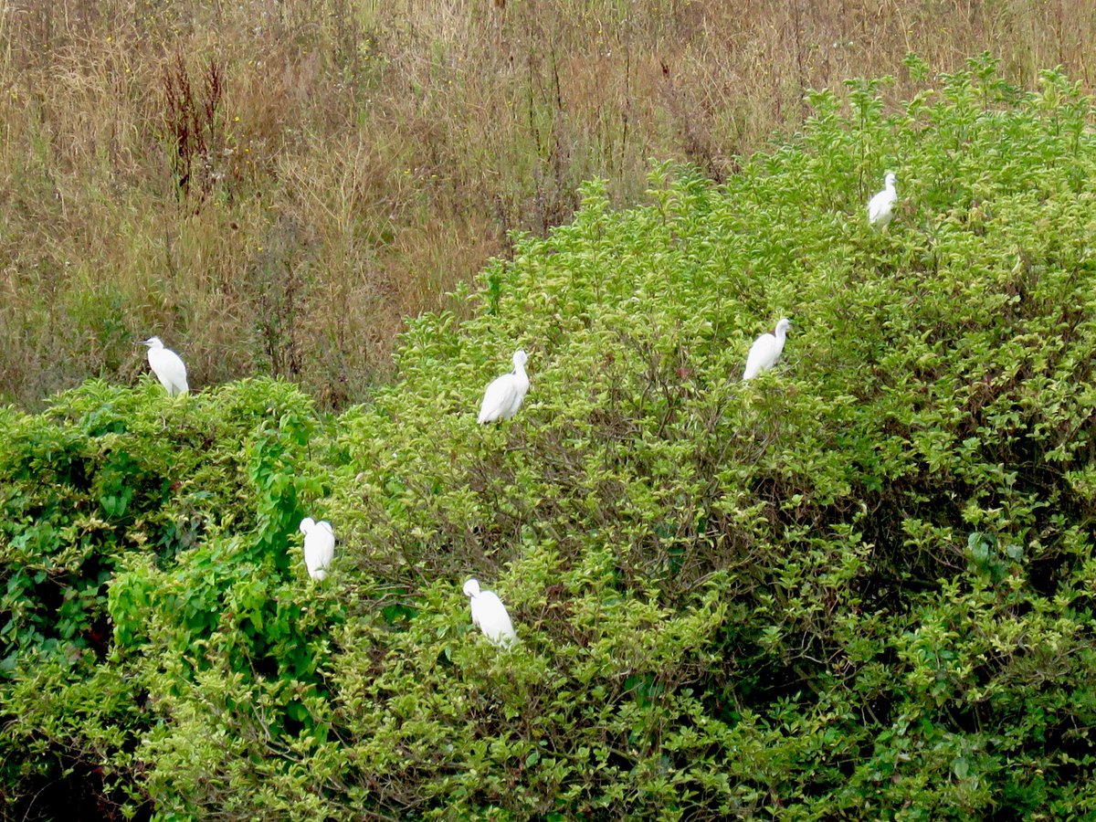 Good morning and MASSIVE thank you to everyone that has donated to our Crowd Justice so far YOU ARE AMAZING! 🤩 
Every donation will help #SaveCrossnessNR please donate if you can and share widely. Together we can do this. Thank you ☺️ crowdjustice.com/case/scnr/