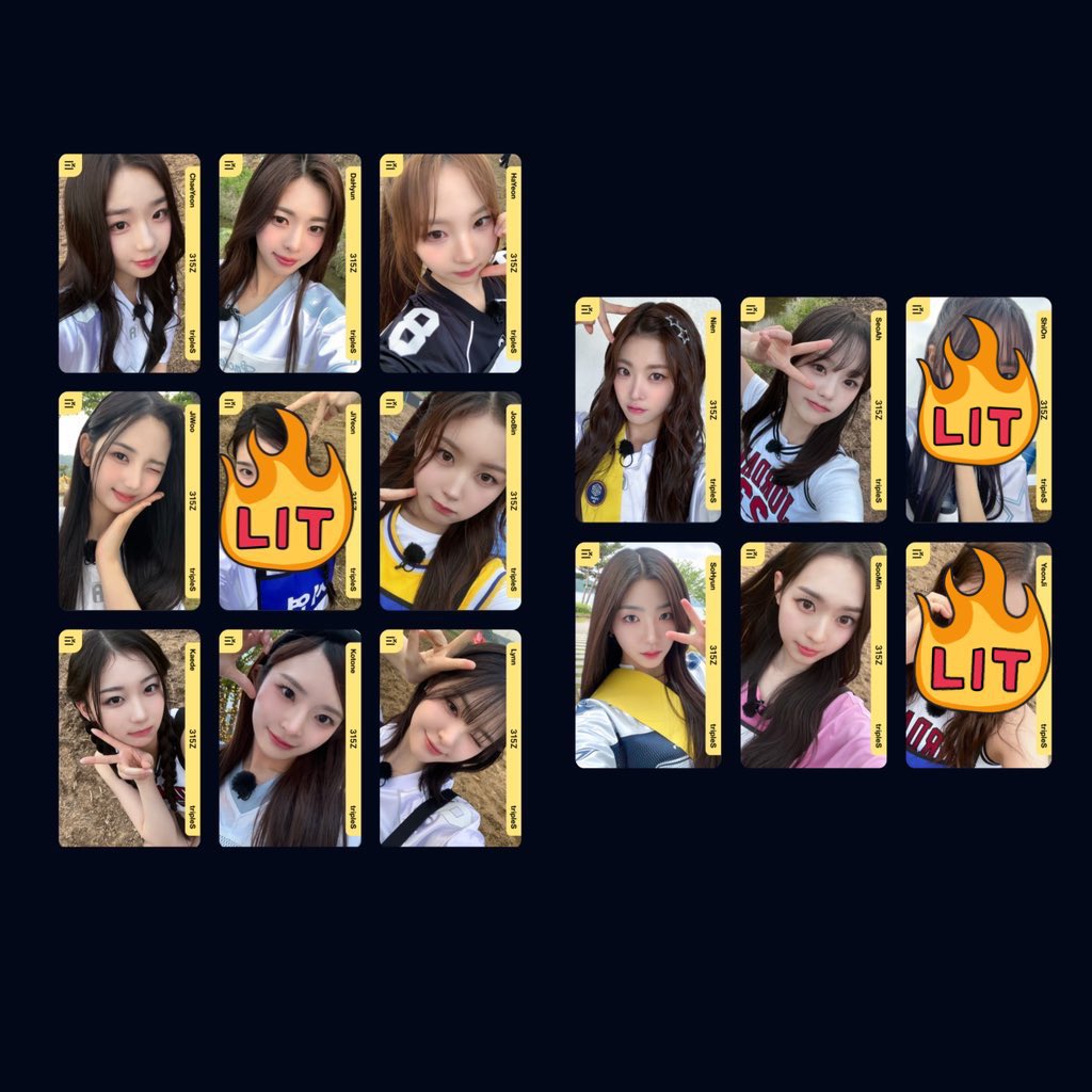 🐻‍❄️ tweet media