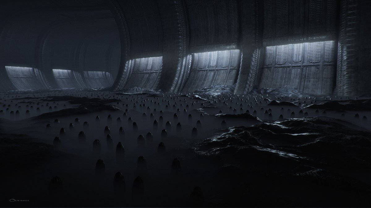 Patryk Olkiewicz tweet media