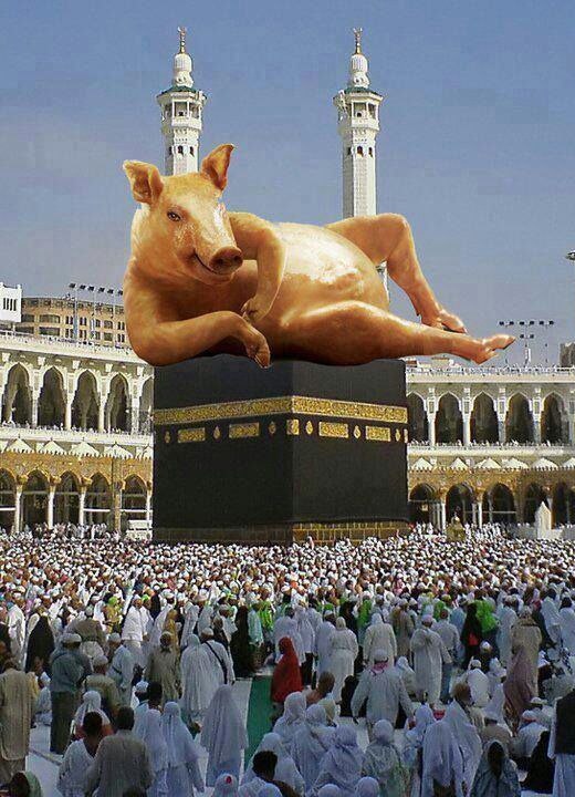iam_Allahh's tweet photo. https://t.co/kKMGbNlu7V