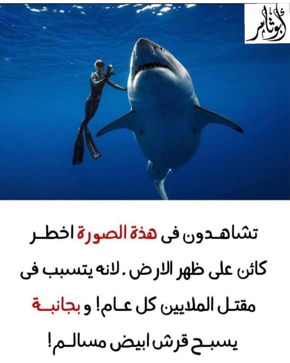 HFardanx's tweet photo. https://t.co/fOjdiyhese