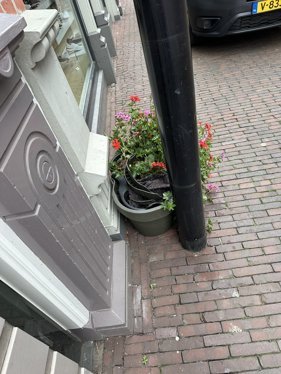 geransmeppel's tweet photo. @GemeenteMeppel 
Plantenbak heeft het weekend niet overleefd 🫣
Hoofdstraat 78 https://t.co/Pk6HGVyZis