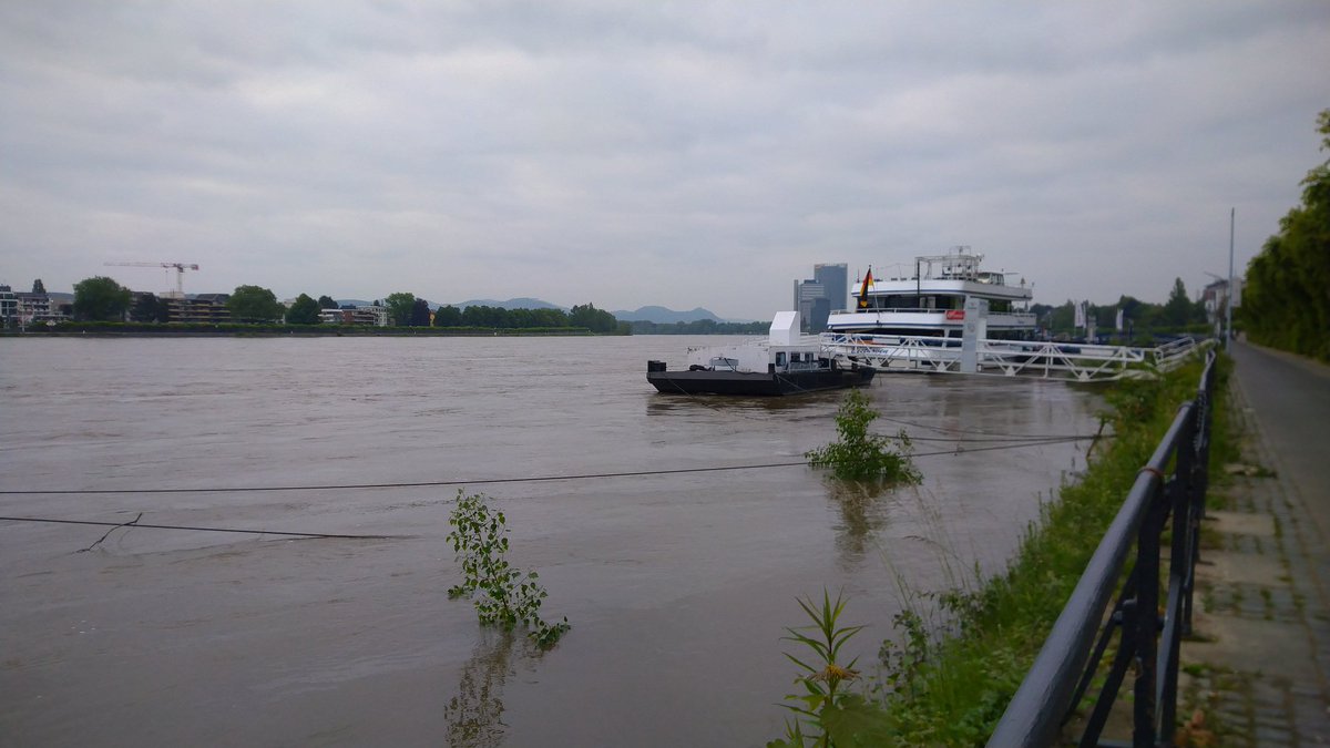 Tulviva Rein tervehtii ilmastoneuvottelijoita. SB60-kokous <a href="/UNFCCC/">UN Climate Change</a> pidetään 3.-13.6. Bonnissa ja maatalouden ilmastotyön toimeenpanon ja ruokaturvan osalta on aika saada <a href="/COP27P/">COP27</a> sovittuun työohjelmaan vauhtia. #AFOLU unfccc.int/topics/land-us…