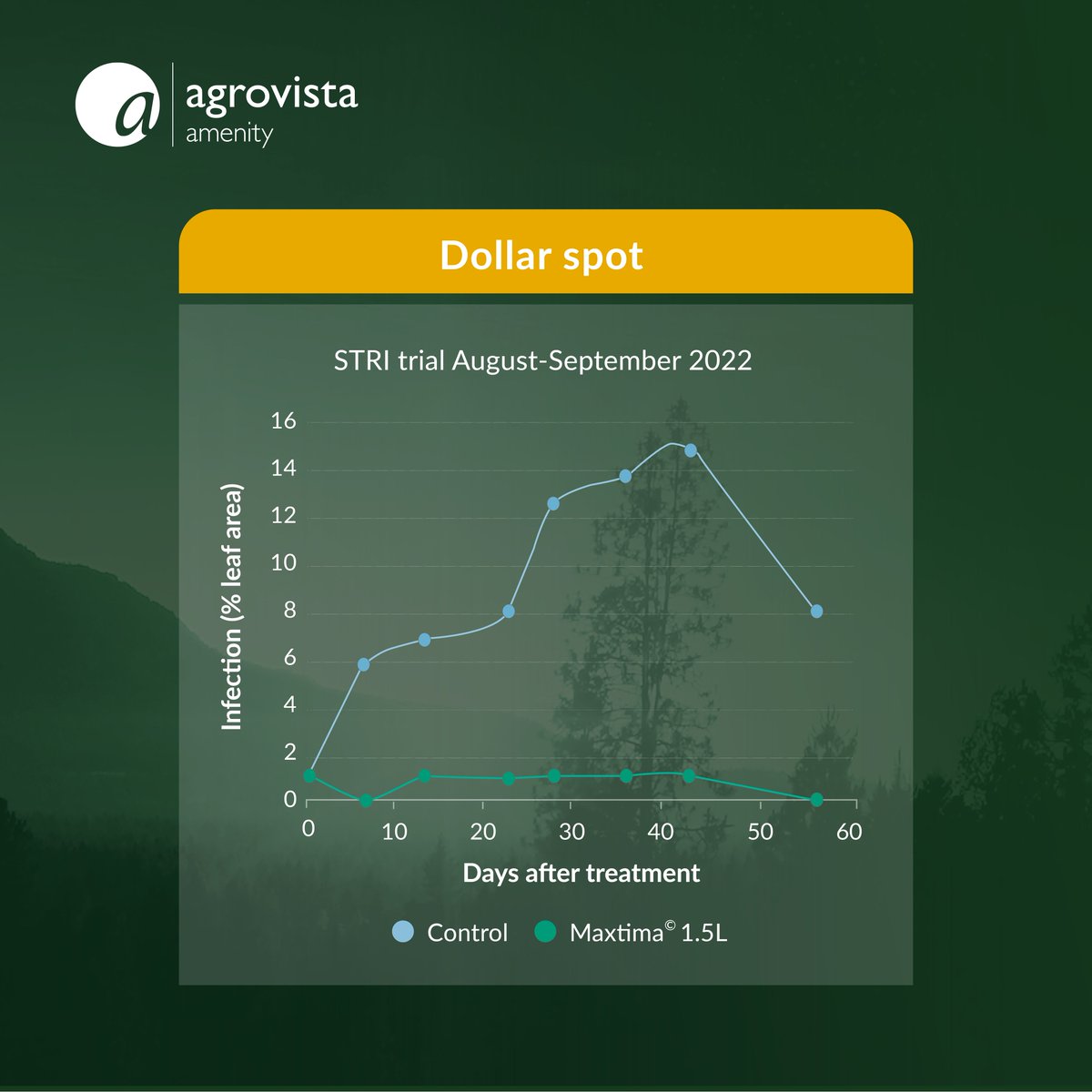 AgrovistaAMNTY's tweet photo. Maxtima® trials for the control of dollar spot at the @strigroup_ showed a 92% mean reduction compared to untreated. 
https://t.co/jyNhSXFGy8 

#Maxtima #DollarSpot https://t.co/tYYvj654TX