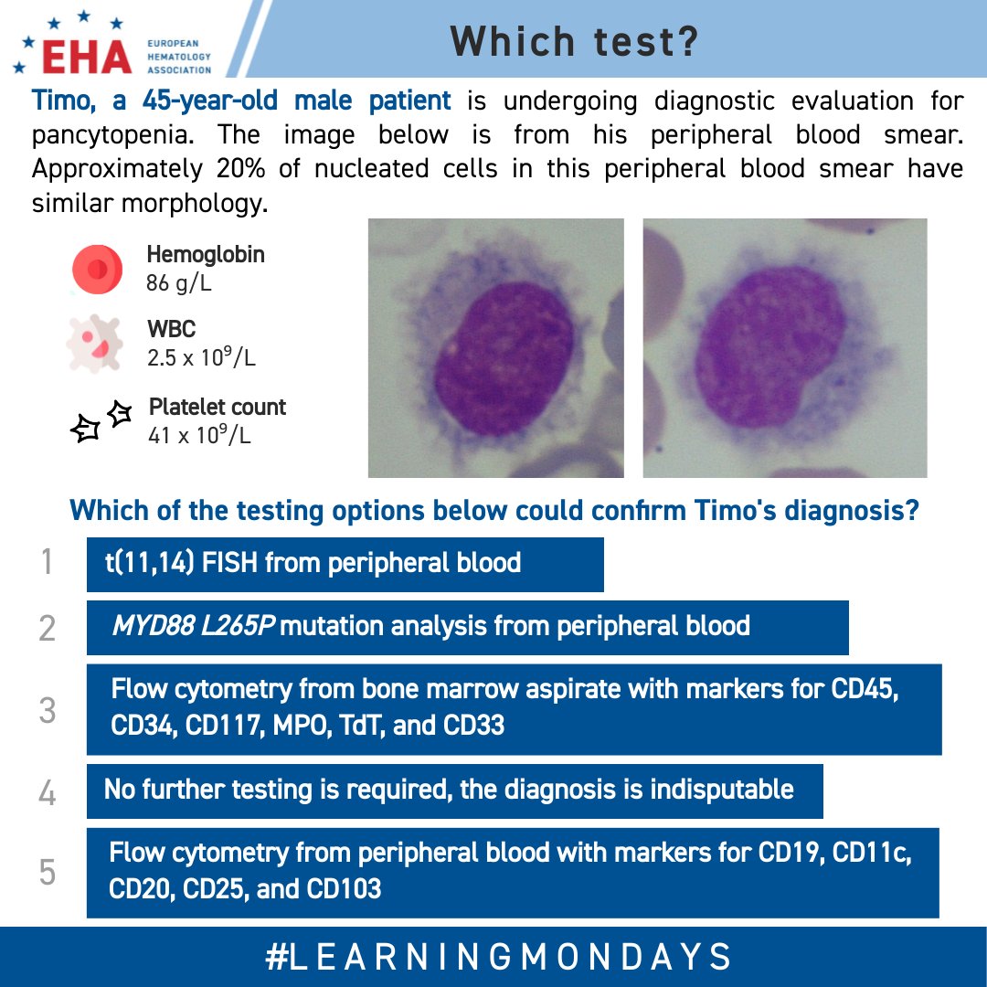 EHA_Hematology's tweet photo. Welcome to a #LearningMondays Morphology Challenge! Today's question is from Dr Umut Yilmaz. Which option could confirm Timo's diagnosis?

✏️ Submit your answer to receive immediate feedback: https://t.co/lQfvMLSc2z
📆 Or come back here tomorrow for the answer and explanation. https://t.co/wU97oChZEa