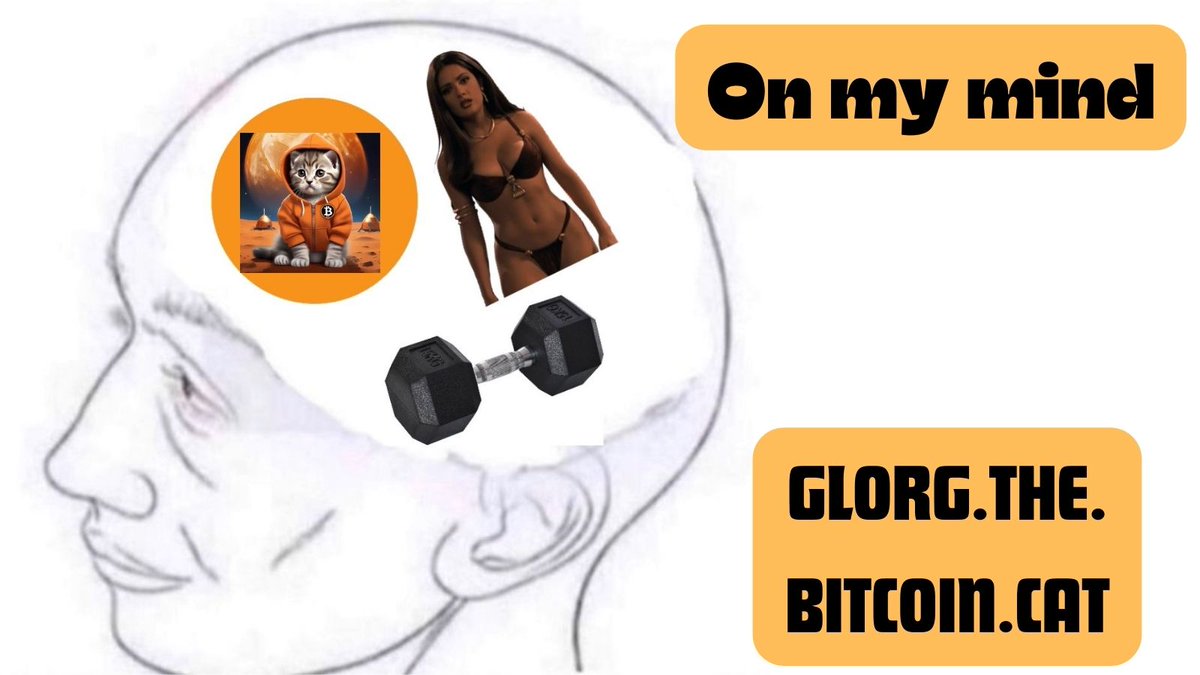 Bitcoin $CAT tweet media