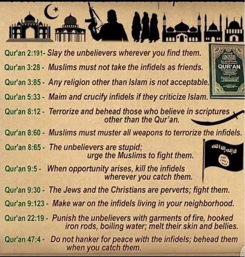 iam_Allahh's tweet photo. @Salwan_Momika1 https://t.co/5xZJRn3o0A