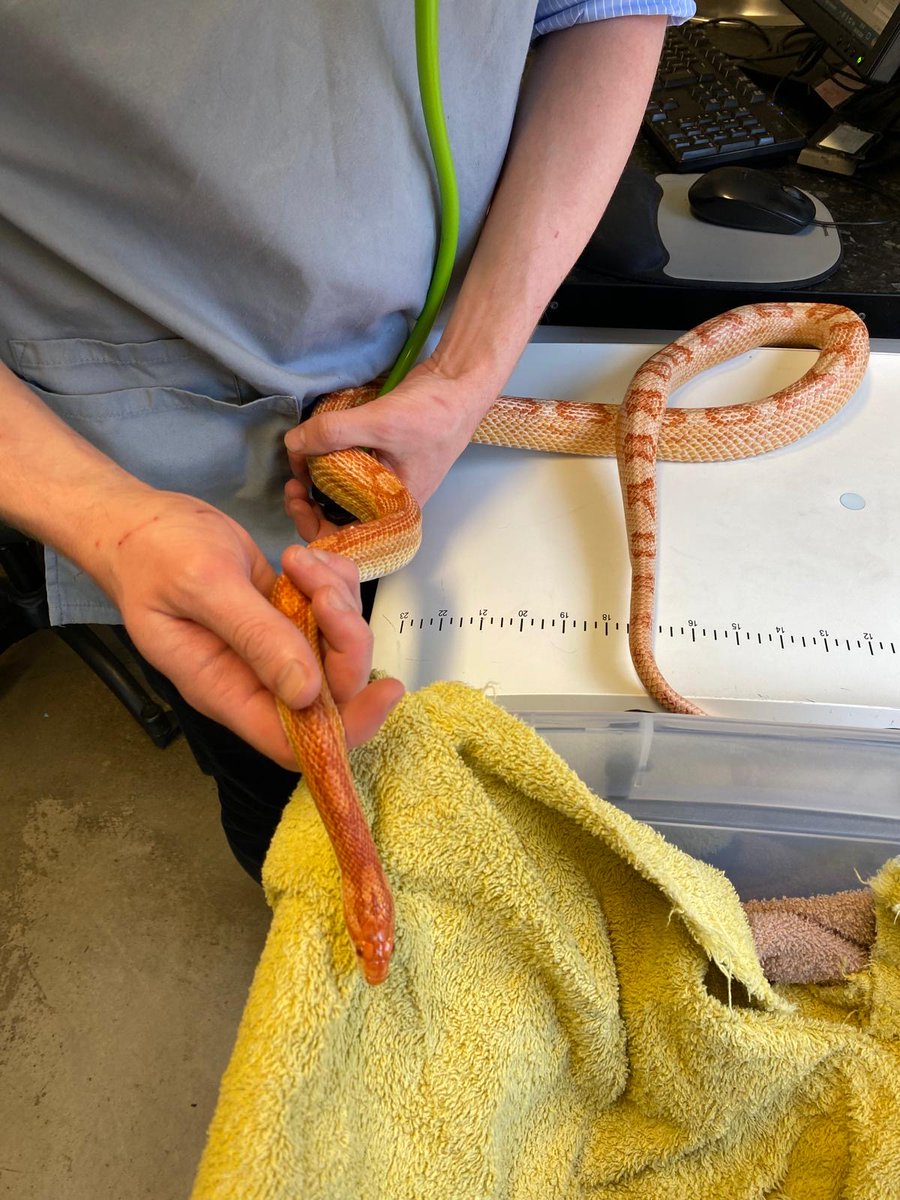 SHS Science tweet media