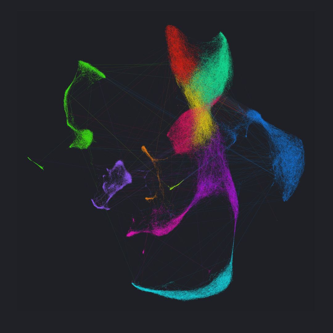 IRBBarcelona's tweet image. 🌺🌞June has arrived, and so has our #ImageoftheMonth: "The Silk Road of Hematopoiesis" by Daniel Fernández from @FraticelliLab.

📸 Featuring scRNA-seq of single bone marrow cells from adult mice transplanted with embryonic or adult hematopoietic stem cells.

Happy #June! ✨