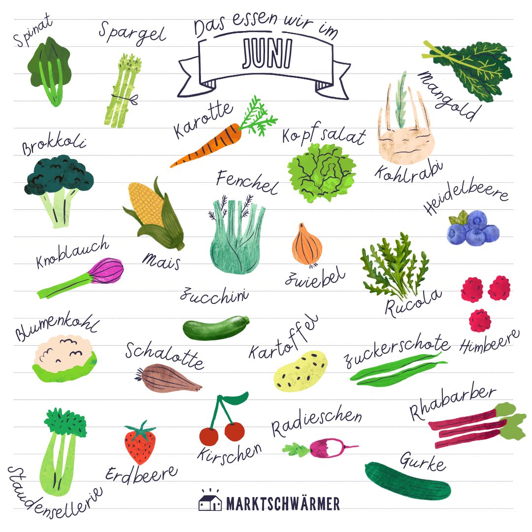Freue dich im Juni über frisches Obst direkt aus der Region.🍓Neben fruchtigen Erdbeeren und Himbeeren kannst du diesen Monat mit etwas Glück die ersten Kirschen verköstigen.🍒Auch das Gemüseangebot wird immer bunter.🌽🥦