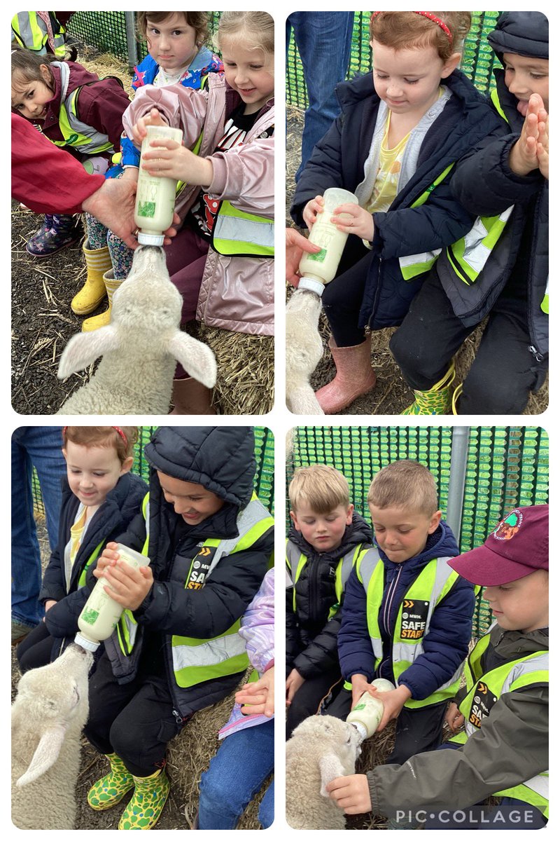 RTPS_EYFS tweet media