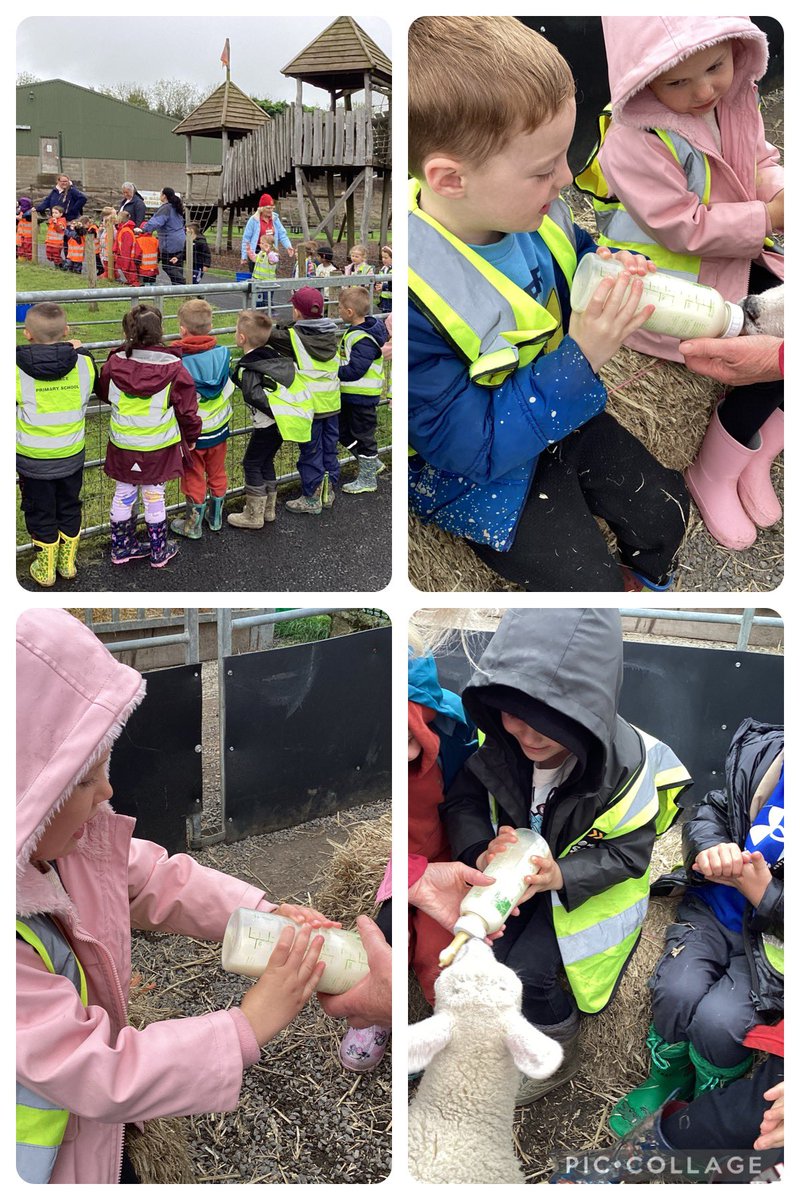 RTPS_EYFS tweet media