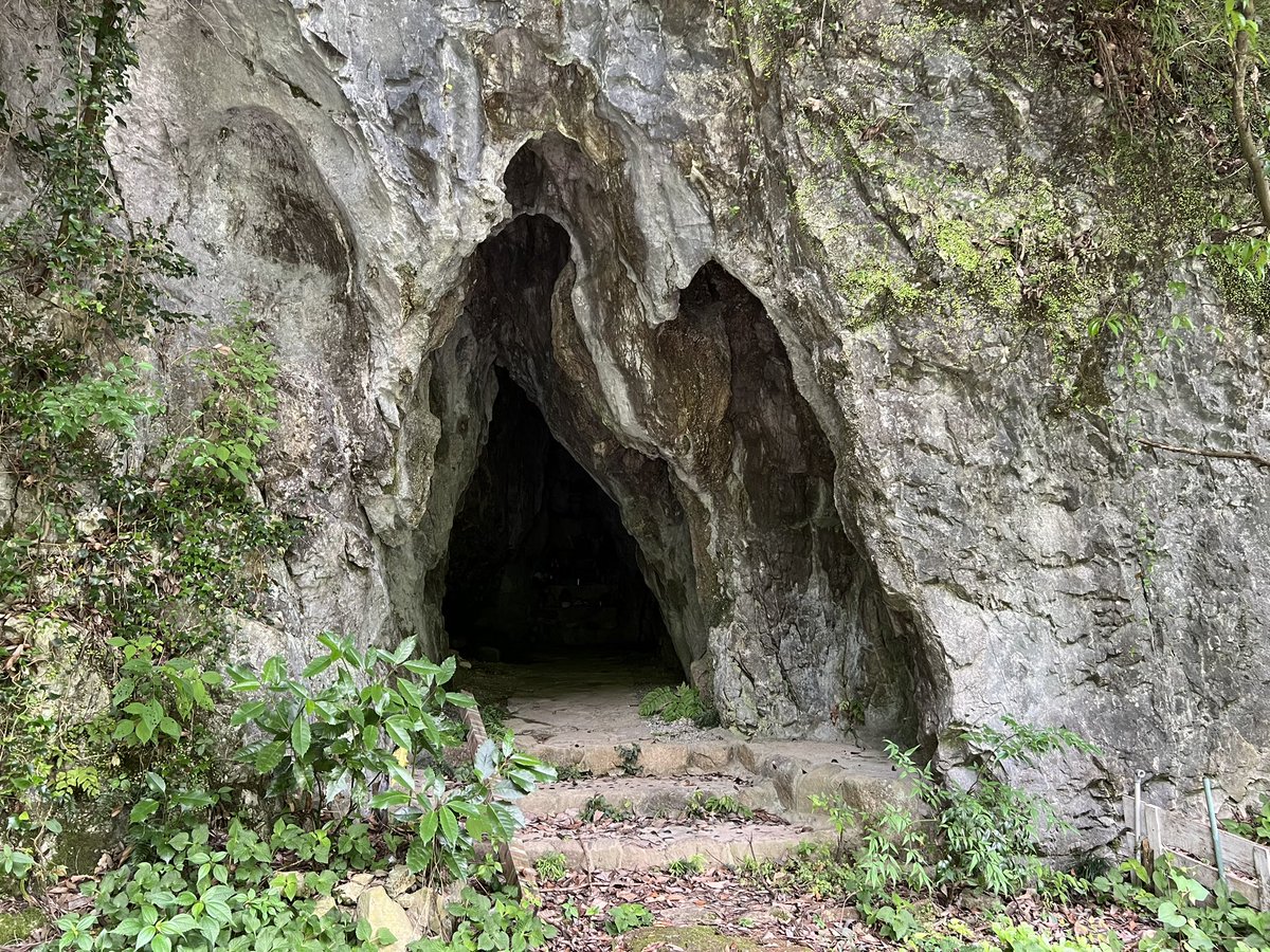 「井倉の川縁石灰岩の侵食が進みやすいので大きめの横穴が祠になってる大水が出ませんよ」|かまいるか💪🐬🦾のイラスト