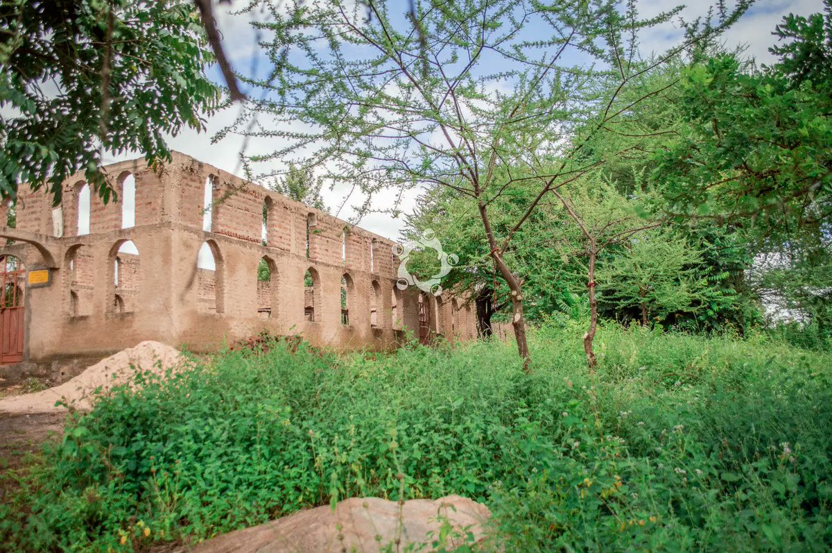 Mviwama_2021's tweet photo. Our planet is warming, but there's hope. With natural-based restoration techniques like KISIKI HAI, we can cool the earth and revive lifeless land. Let's invest in green solutions for a sustainable future! 💚🌳 #NaturalRestoration @TriasEastAfrica @justdiggit @leadtz @mfugaji https://t.co/gvAUmkwd7k