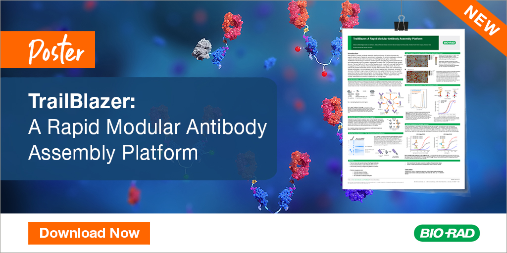 Download the new poster to learn how the Trailblazer Platform uses SpyTag technology for the fast and simple site-specific attachment of labels to recombinant antibodies. 
Download now: ow.ly/WpXj50RYy0Z

#Antibodies #Biotherapeutics #DrugDiscovery
