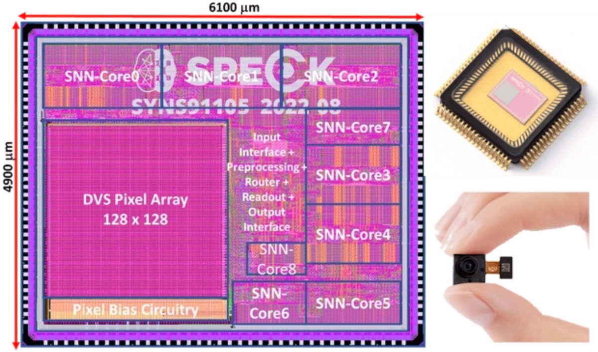 A team of Chinese and Swiss scientists developed an energy-efficient sensing-computing neuromorphic chip, Speck, that mimics the neurons and synapses of the human brain, Xinhua reported today. Speck boasts an impressively low-resting power consumption of 0.42 milliwatts, and the