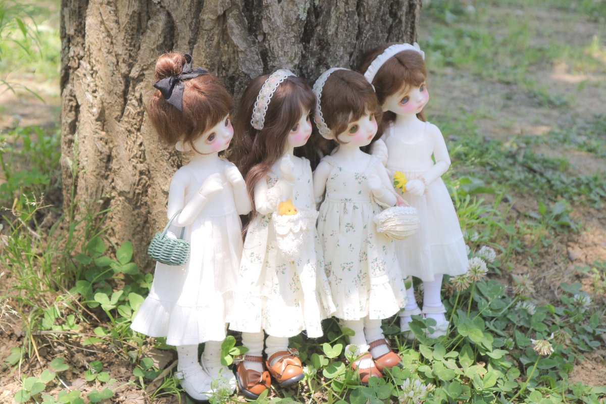 ˗ˏˋ 🌻°｡🌱‧₊˚