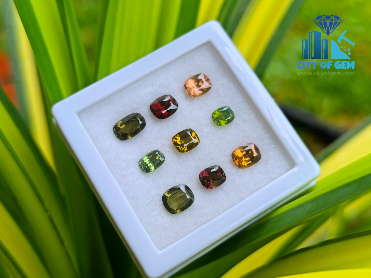 CityOfGem's tweet photo. ✨ Elevate your jewelry game with our Natural Zircon Cushion Shape Collection! ✨
view product - https://t.co/jt936o7SZU
#naturalzircon #ZirconGemstones #cushionshape #gemstones #gemstonedealer #gemcutter #gemstoneforsale #fashion #style #zirconring #necklace https://t.co/iSIbpzctEt