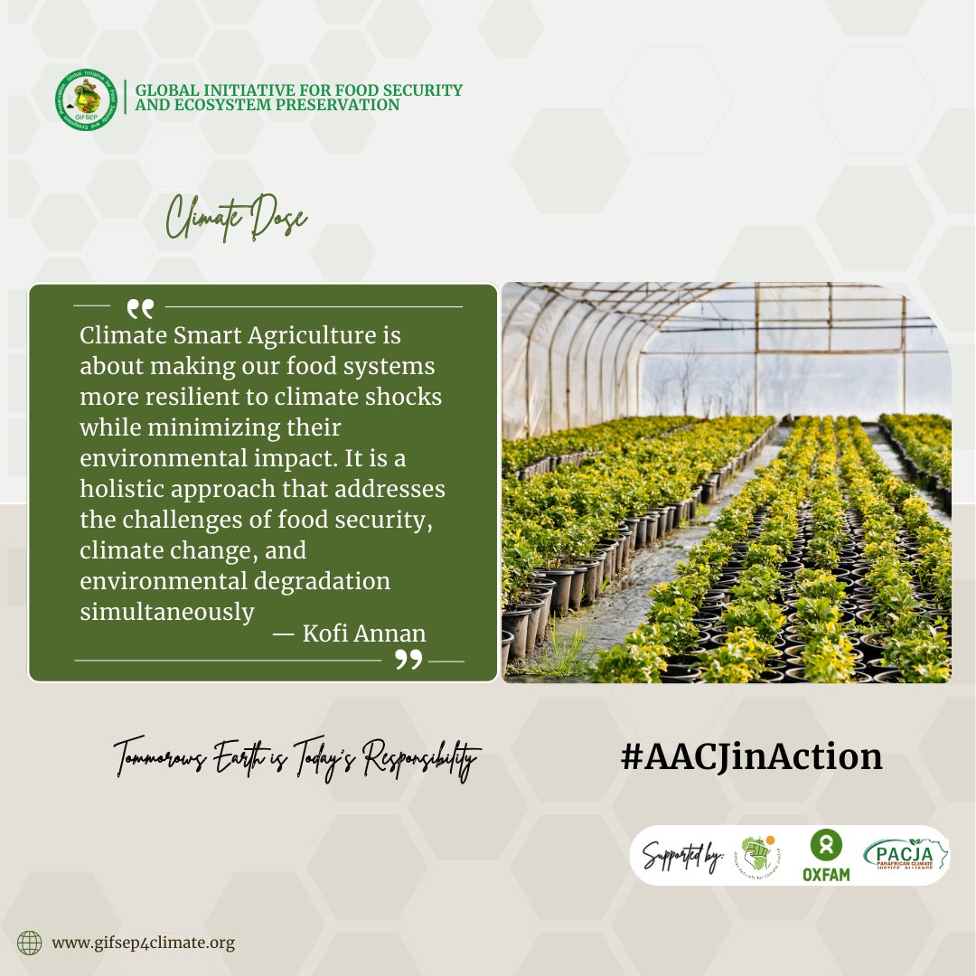 We must adopt Climate Smart Agriculture as it strengthens food systems against climate shocks while reducing environmental impact. This holistic approach tackles food security, climate change and environmental degradation #ClimateSmartAgriculture #AACJinAction #AACJ