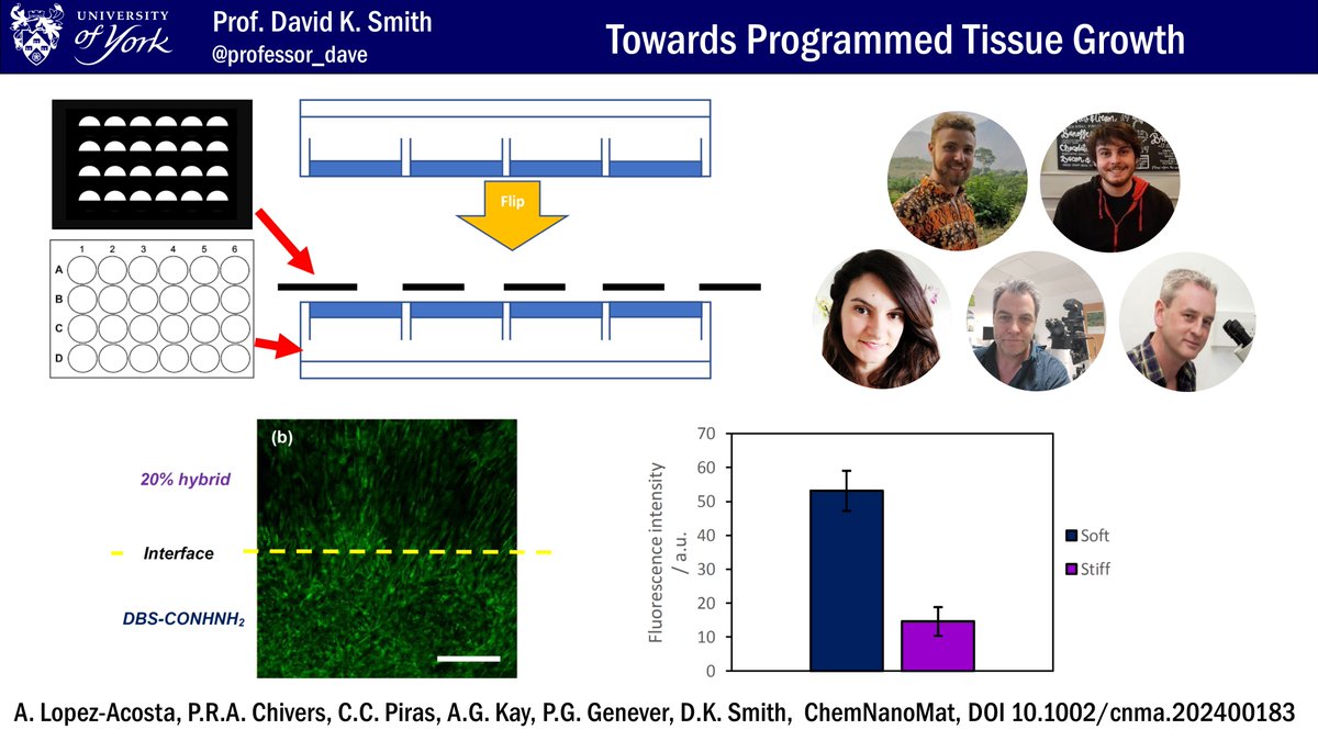 David K Smith tweet media