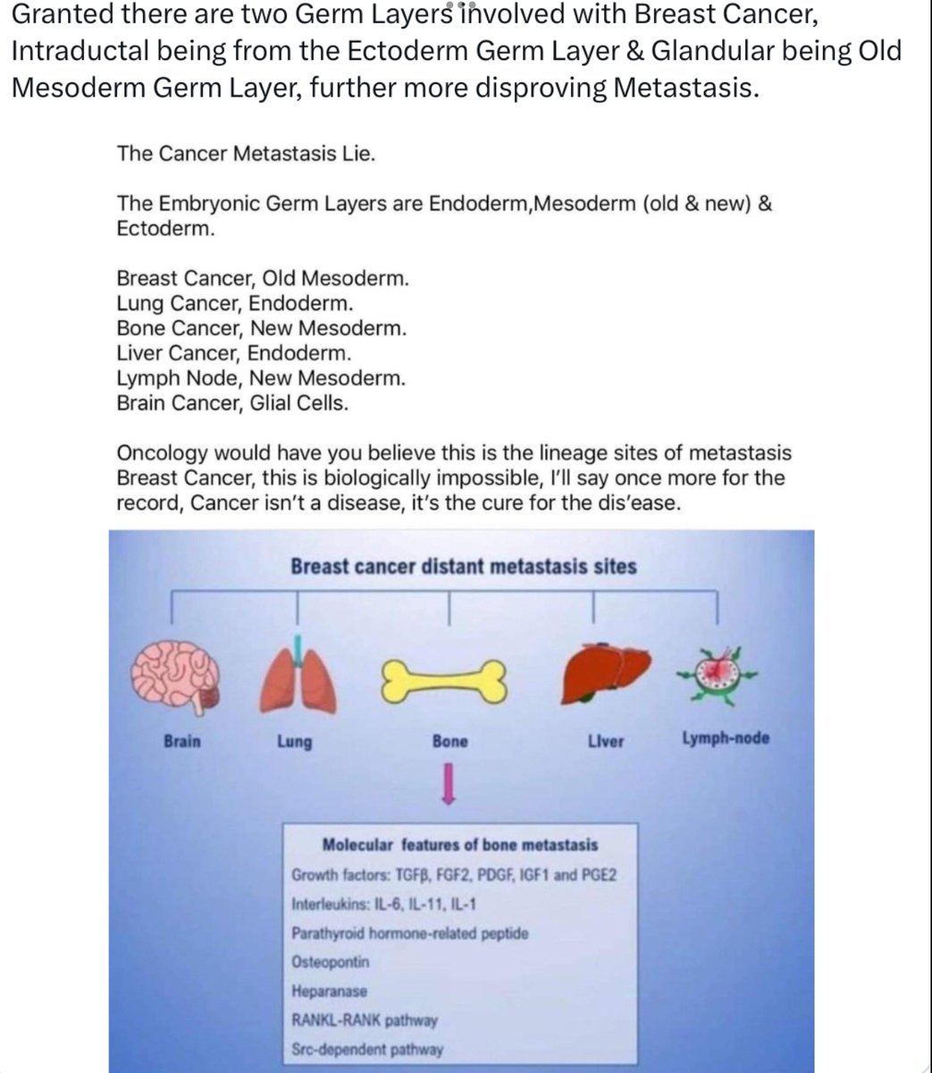 Missy the Muse... tweet media