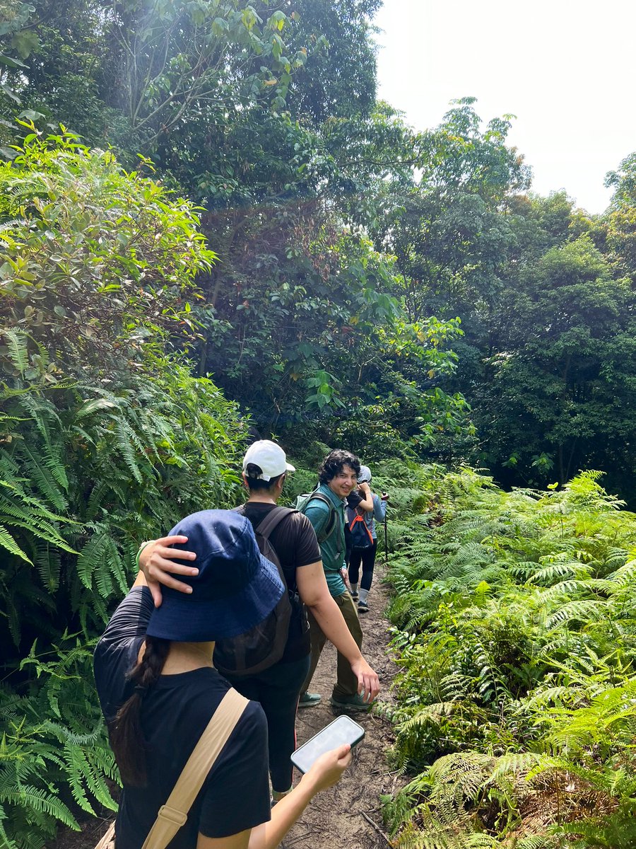 Harris Zainul tweet media