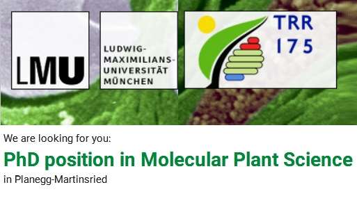 agristok's tweet photo. 📌 PhD Fully Funded Position in Molecular Plant Science at Ludwig-Maximilians-Universität (LMU) München in Germany ... Please share and spread the word! For details visit: https://t.co/eXwUJTN9Nc https://t.co/mM9q9hLzRD